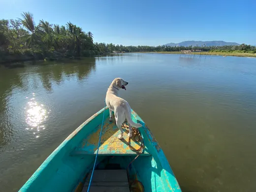 Paseo con panga por la laguna