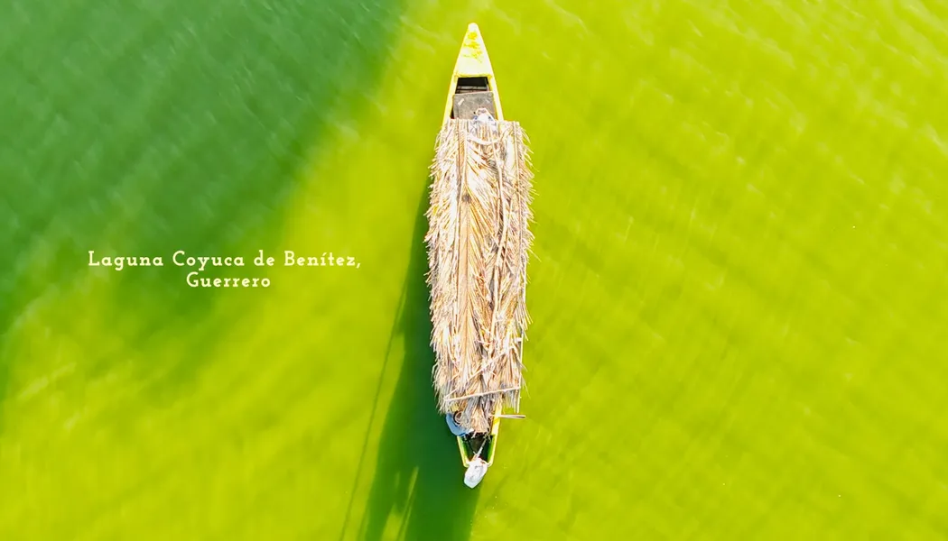 Lancha techada de palma vista desde el cielo en la laguna de Coyuca