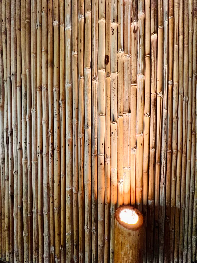 Room Petate