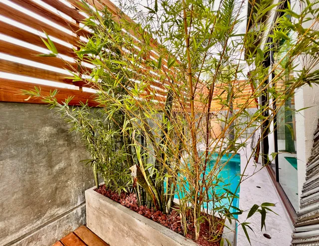 Habitación Tamarindo